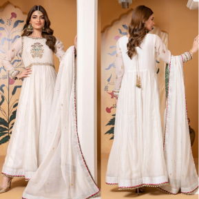 How to Choose the Perfect Pakistani Heavy Formal Dress Zaaviay Global How to Choose the Perfect Pakistani Heavy Formal Dress Zaaviay Global