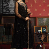 New Arrival Dresses for Women | Luxury Formal Women Suits | Pakistani ready to wear raw silk dress | Zaaviay Sale