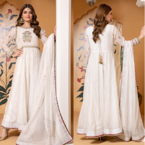 How to Choose the Perfect Pakistani Heavy Formal Dress