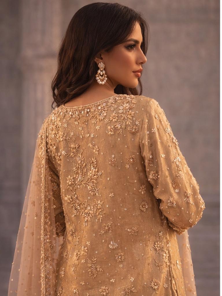 brown velvet dress pakistani Pakistani Velvet Designer Suits & Dresses