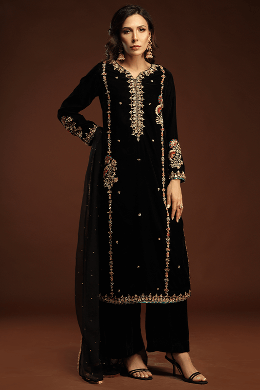 Simple velvet 2025 dresses pakistani