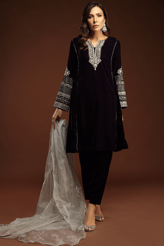 Designer Velvet Party Wear Dresses Designs Online in Pakistan –  DressyZone.com