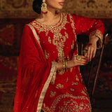 Pakistani Wedding Suits