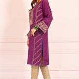 Nikhar (Kurti Only)
