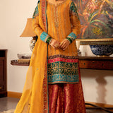 pakistani ready to wear organza dress