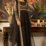 pakistani ready to wear net dress