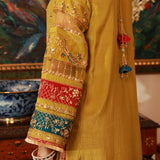 Luxury Formal Women Suits | Pakistani ready to wear raw silk dress