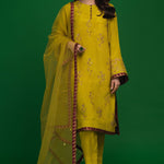 online pakistani clothing