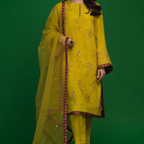 online pakistani clothing