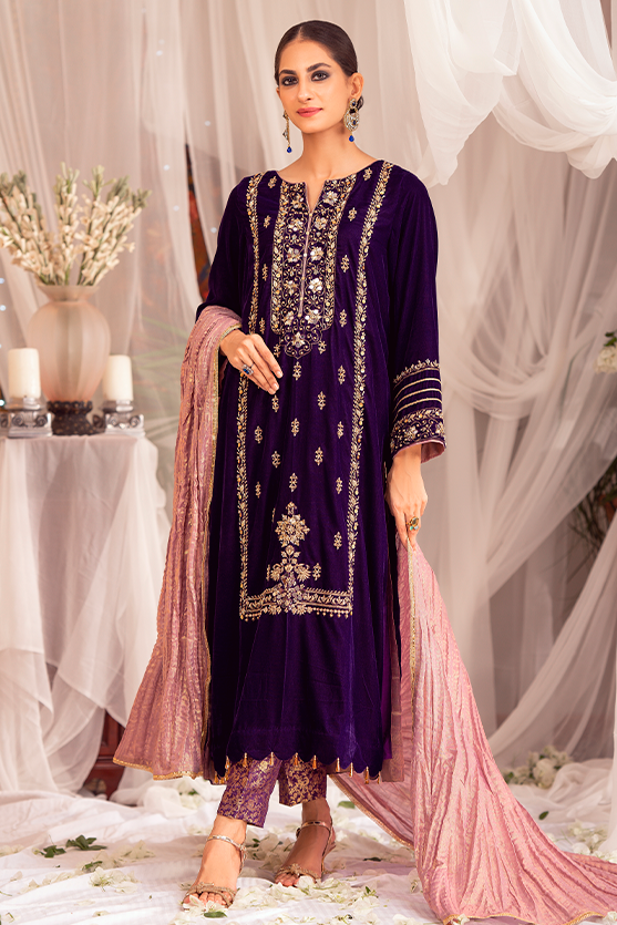 Velvet pakistani 2025 designer dresses